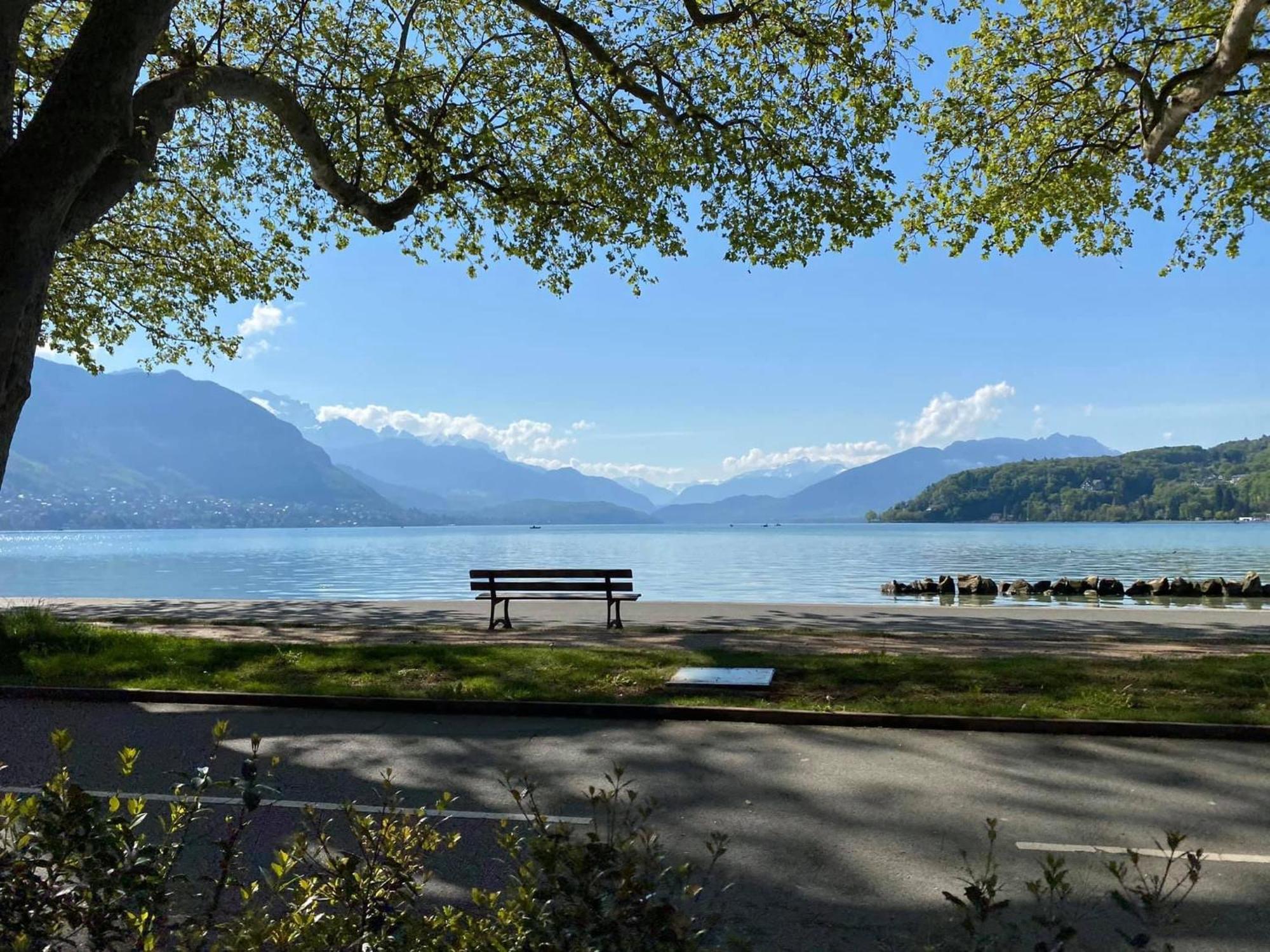 Woody 100M Du Lac Balcon Annecy Bagian luar foto